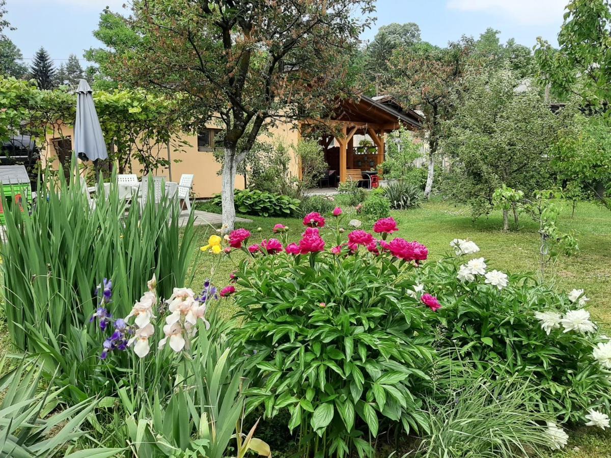바냐루카 Magnolija 아파트 외부 사진